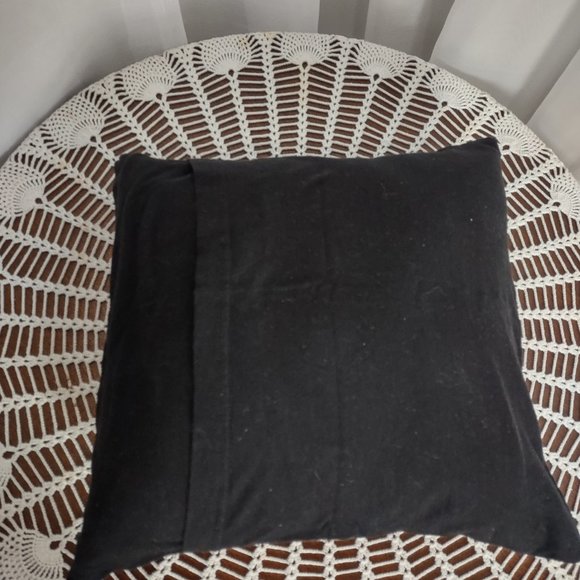 Rag Frog Revival Throw pillow cover Up-cycled from a T-shirt size 12"x12" - Picture 3 of 3